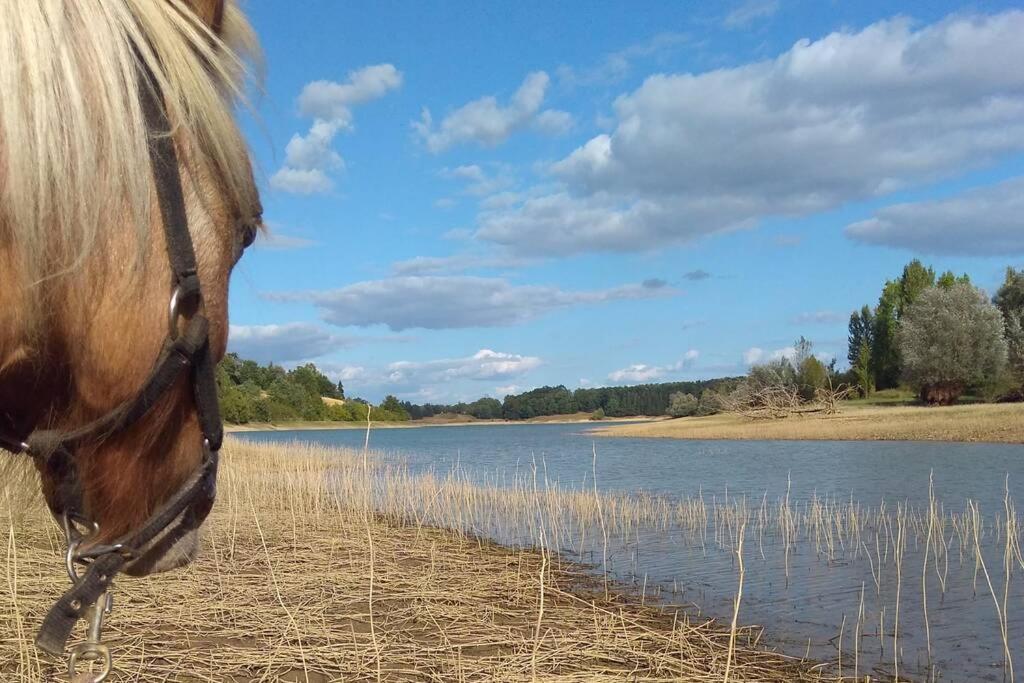 Gite En Pleine Nature Proche Du Lac De La Gimone Saint-Blancard Eksteriør billede