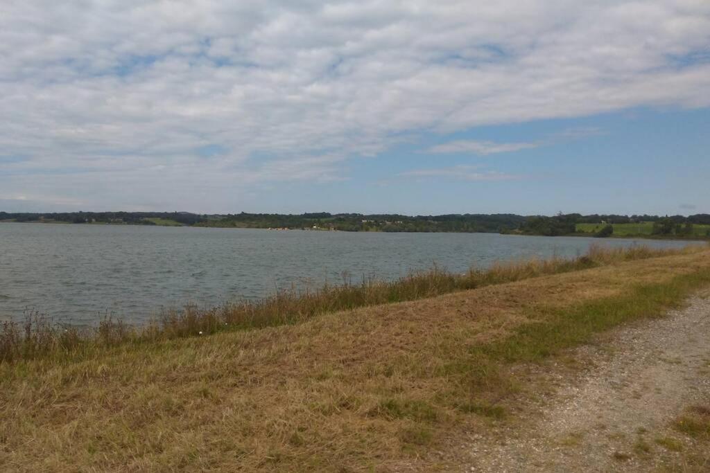 Gite En Pleine Nature Proche Du Lac De La Gimone Saint-Blancard Eksteriør billede